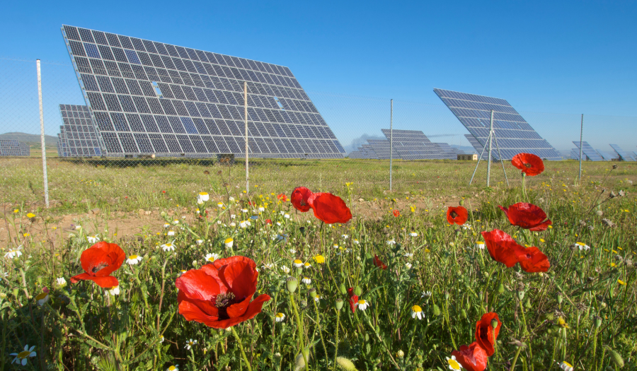 Energeo unlock energy opportunities with Google Maps