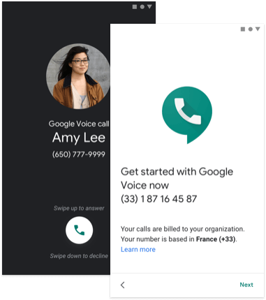 Google Voice Admin