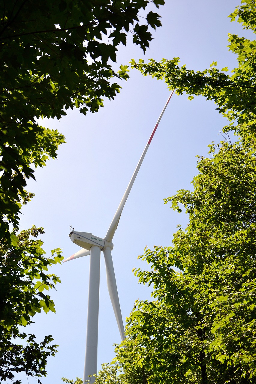 wind-power-7492989_1280